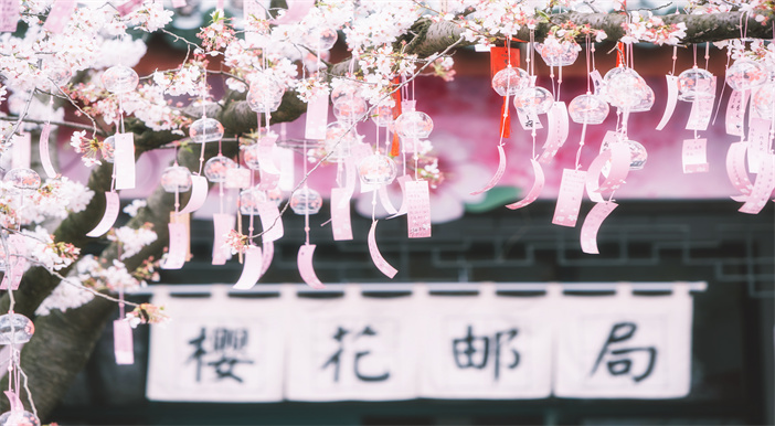 你若记得，他便永存