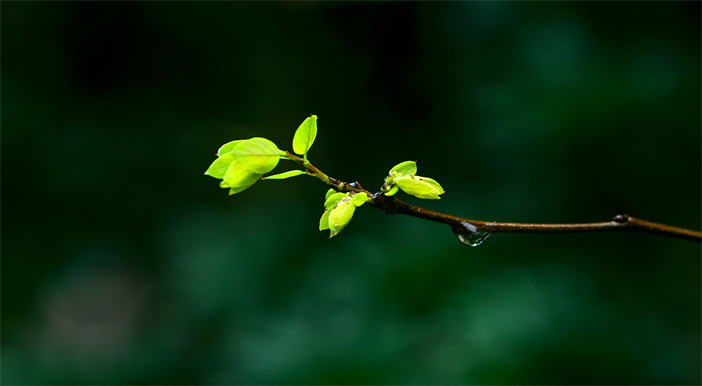 将思念，淬炼成永恒的星辰